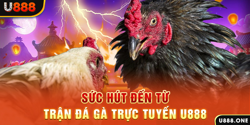 rr888 đá gà trực tiếp c1