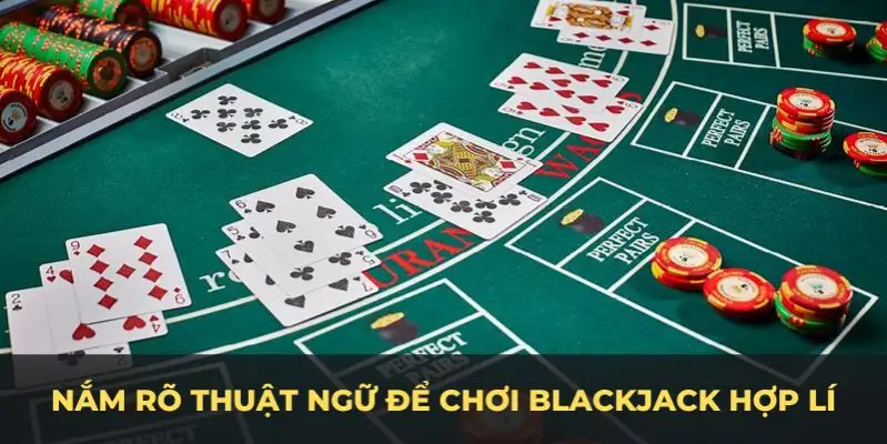 rr888 c1 gà chọi