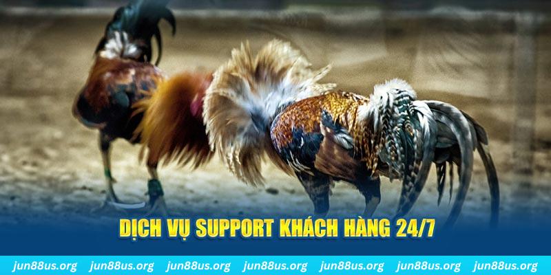 rr888 ÁT CHỦ BÀI GIÀNH LẤY ZHUANG NIUNIU ( XEM 4 LÁ )