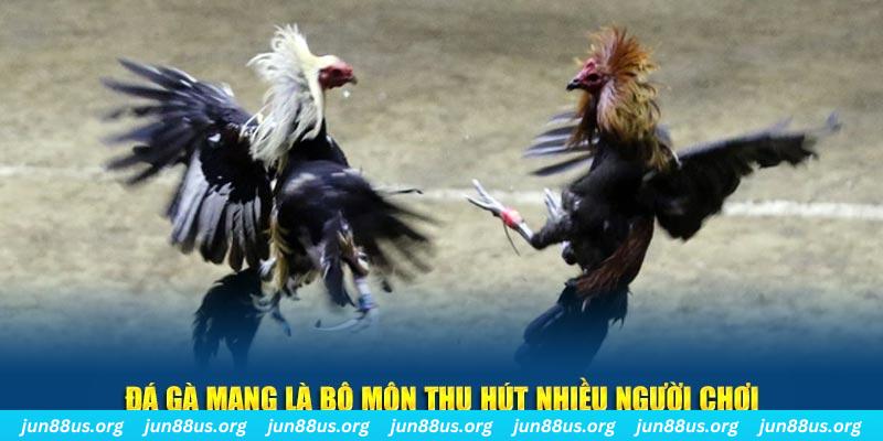 rr888 bắn cá au88