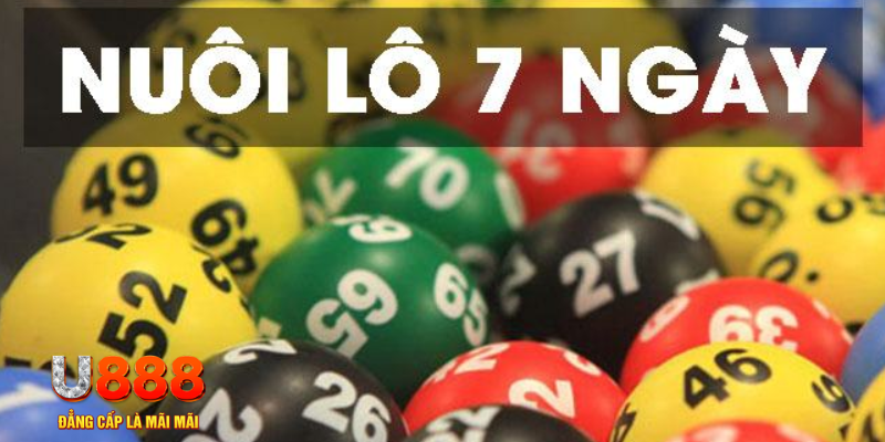 rr888 what are slot machines