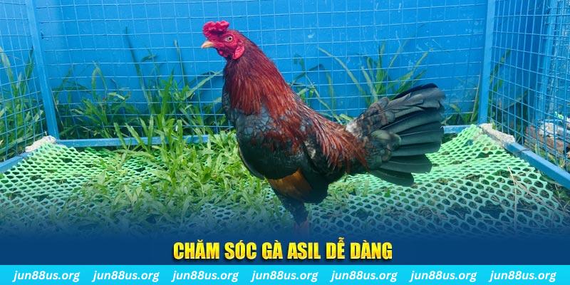 rr888 game bài là gì