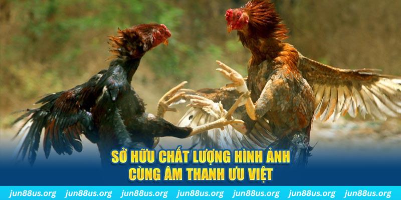 rr888 PP Điện Tử