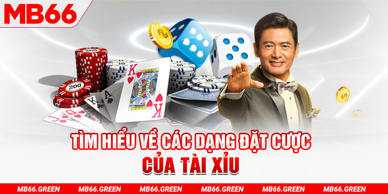 rr888 what is a virtual casino