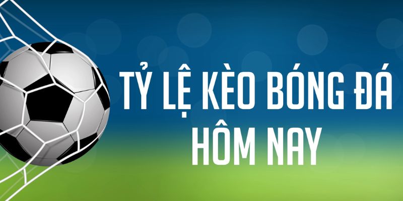 rr888 gà chọi c1 mới nhất