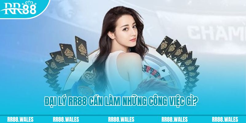 rr888 Quạt quầy hàng