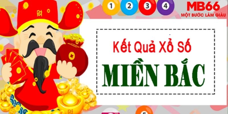 rr888 chọi gà