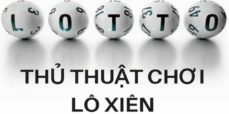 rr888 trực tiếp đá gà thomo