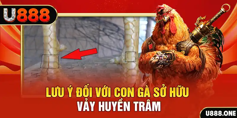 rr888 kết quả xổ số miền nam hôm nay