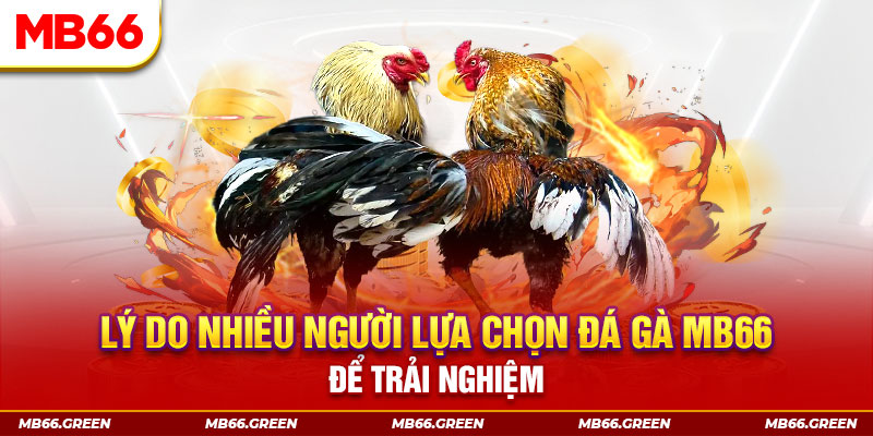 rr888 xổ số miền bắc thứ bảy hàng tuần