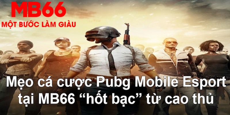 rr888 VA Bắn cá