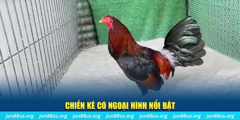 rr888 game nổ hũ là gì