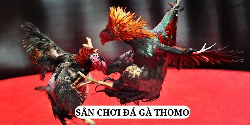 rr888 trực tiếp xổ số miền bắc